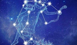 什么星座的短视频,风趣多变，创意无限短视频集锦