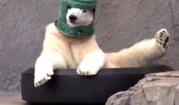 沙雕吃瓜爆料图片大全,揭秘娱乐圈幕后真相