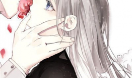 情侣动漫,情侣动漫中的浪漫时光