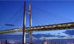 斜拉桥施工动画短视频,揭秘现代桥梁建造奥秘