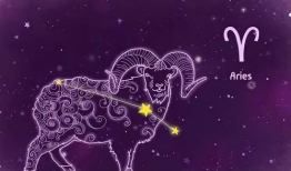 什么星座的短视频,风趣多变，创意无限短视频集锦