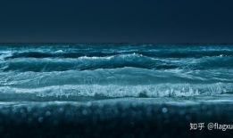 海浪短视频,捕捉海洋之美，感受波涛力量