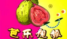 丝瓜短视频app下载,轻松下载，畅享短视频新体验