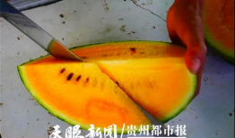 贵阳吃瓜爆料事件真相,真相背后的曲折历程