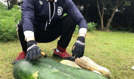 关于烛签的吃瓜爆料,吃瓜爆料背后的真相与内幕