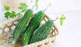 关于烛签的吃瓜爆料,吃瓜爆料背后的真相与内幕