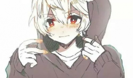 动漫男的,探寻二次元世界的魅力与梦想