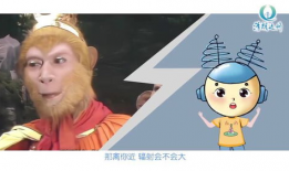 孙悟空短视频,孙悟空短视频中的奇幻冒险之旅