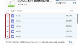 短视频磁力链接,一键获取热门视频的神秘通道