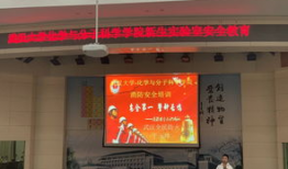 墙纸短视频,一窥家居美学新风尚