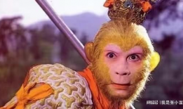 孙悟空短视频,孙悟空短视频中的奇幻冒险之旅