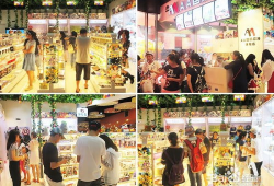 动漫周边店,探索动漫周边店的无限魅力